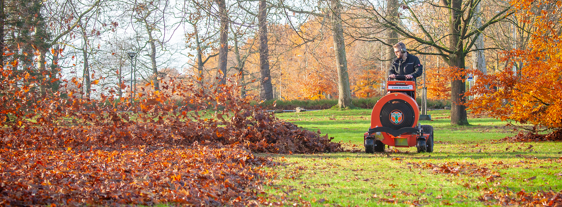Autum clean-up with Billy Goat
