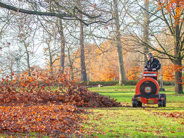 Autum clean-up with Billy Goat
