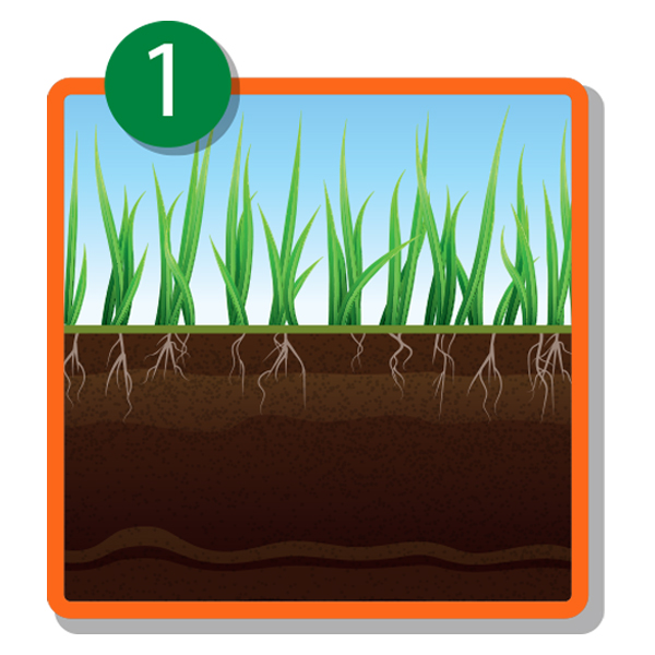 Overseeding step 1 - Billy Goat Overseeding step 1 - lawn is patchy