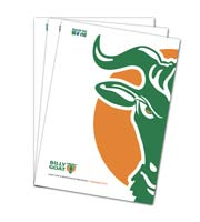 Download the Billy Goat Product Brochure