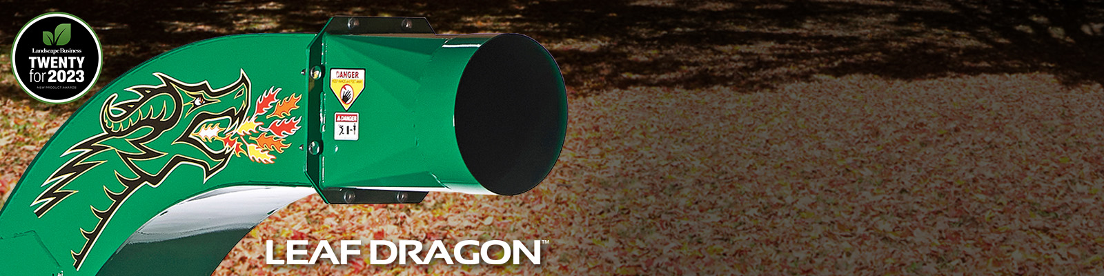 Leaf Dragon