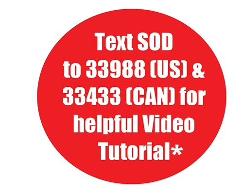 Text to Video Logo