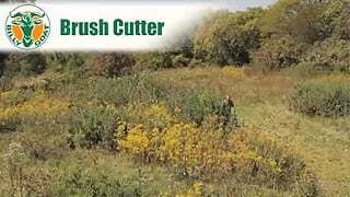 Billy Goat Outback Brushcutter