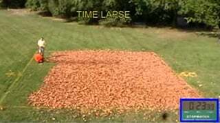 Wheeled Leaf Blower vs. Backpack Leaf Blower